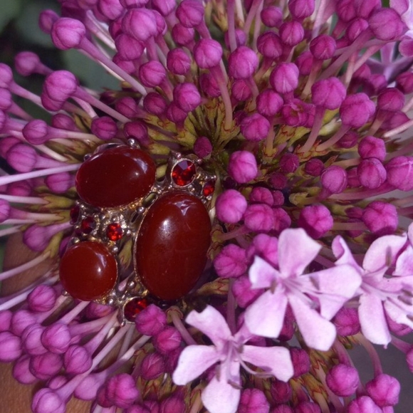 Vintage RUBY & Carnelian Agate Ring - Picture 3 of 16